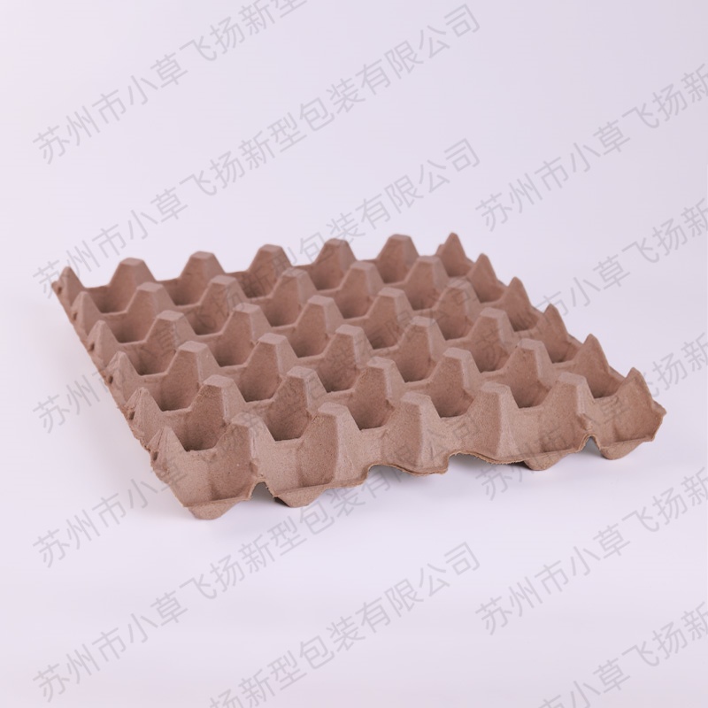 Paper Pulp Molding