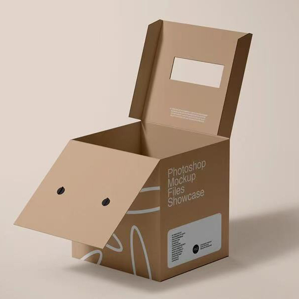 Corrugated Carton