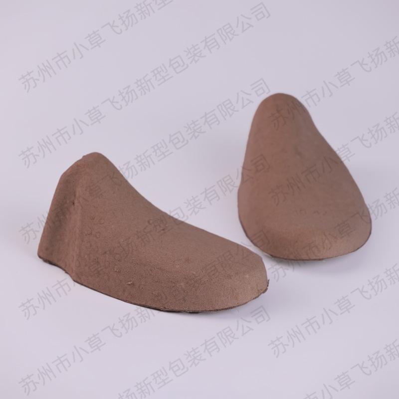 Paper Pulp Molding