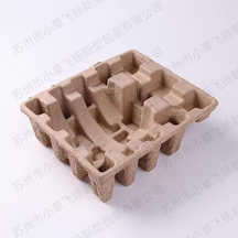 Paper Pulp Molding