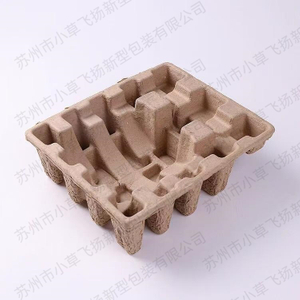 Paper Pulp Molding